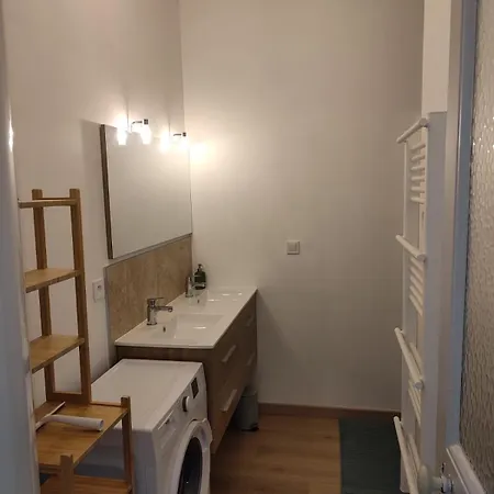 Appartement T4 Hausmanien Calme Jardin Alexandre Place De La Liberte