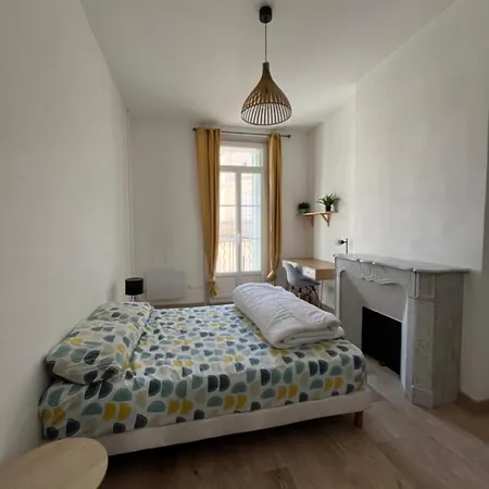 Appartement T4 Hausmanien Calme Jardin Alexandre Place De La Liberte